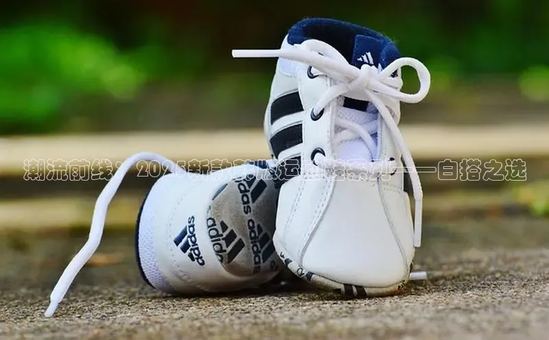 潮流前线：2025新款韩版运动鞋系列——白搭之选